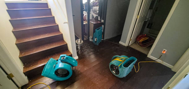 Best Water damage restoration specialists  in Bermuda Dunes, CA