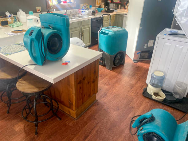 Best Carpet water damage restoration  in Bermuda Dunes, CA