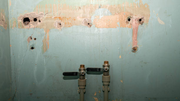 Best Mold removal after water damage  in Bermuda Dunes, CA