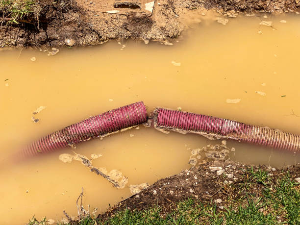 Best Water damage restoration near me  in Bermuda Dunes, CA