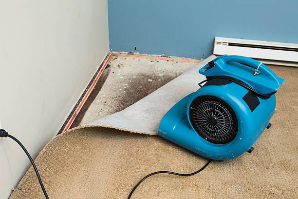 Best Flood restoration services  in Bermuda Dunes, CA